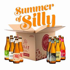 Silly Summer Box