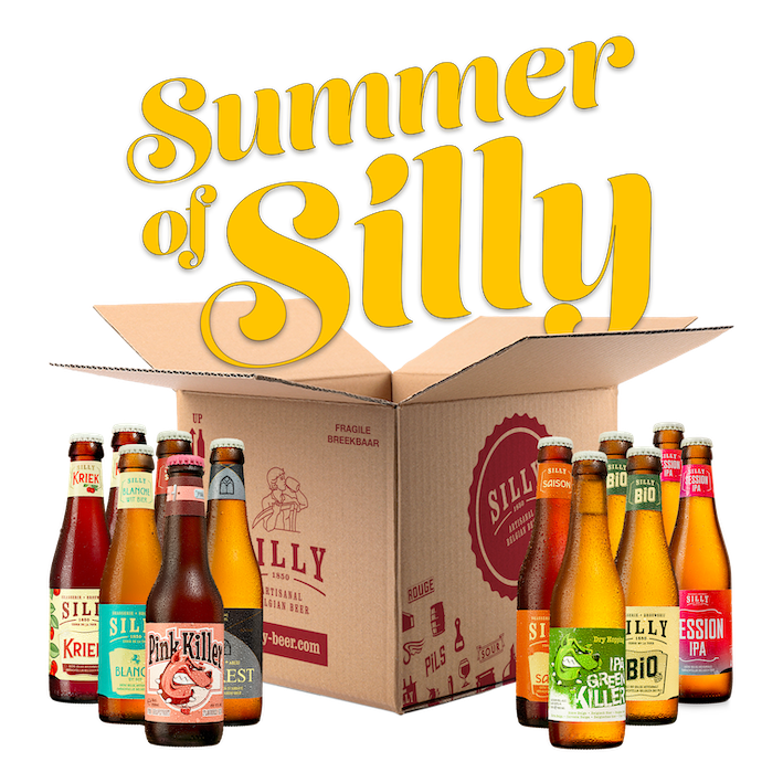 silly summer box